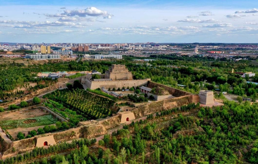 Chinese farmer creates ‘green Great Wall’ in desert