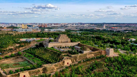 Chinese farmer creates ‘green Great Wall’ in desert