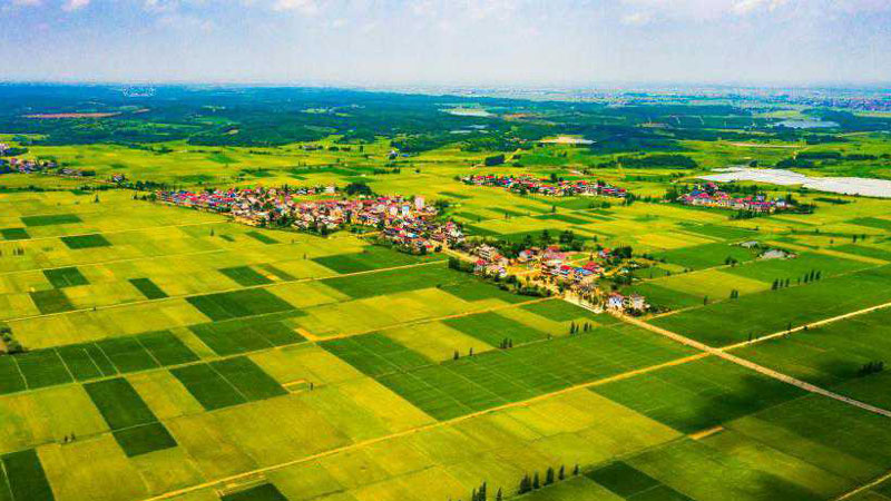 Aerial views of farmlands in Jiangxi Province