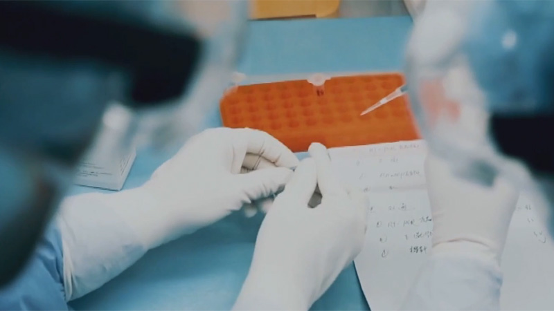 COVID-19 almost certainly originates from animal, not lab leak: top experts