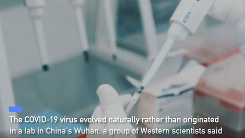 No evidence that COVID-19 has lab origin: top Western scientists
