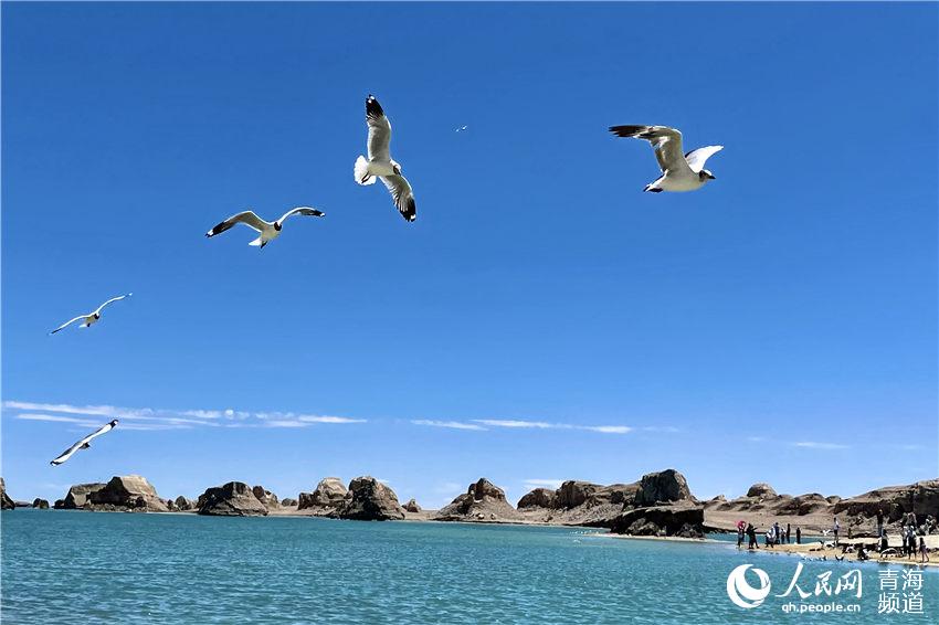 Unique landscape: Water Yadan Geopark in Qinghai province