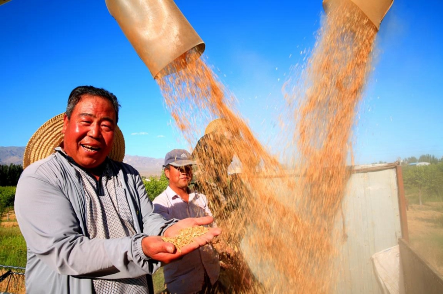 More harvests but less water consumption in China