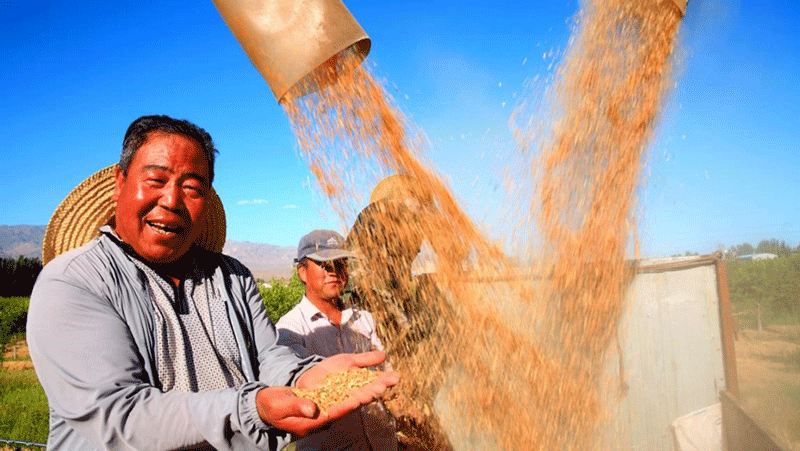 More harvests but less water consumption in China