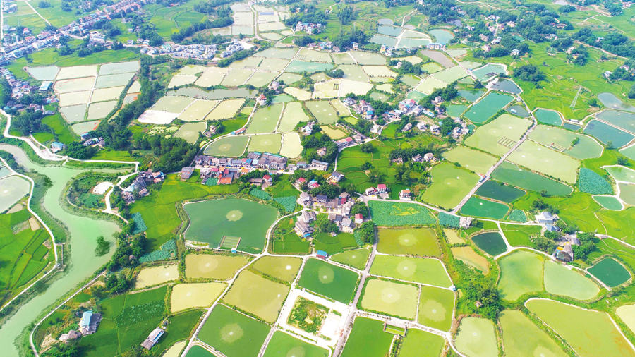 Liangping’s countryside scenes impress and refresh, fishery sector upgraded