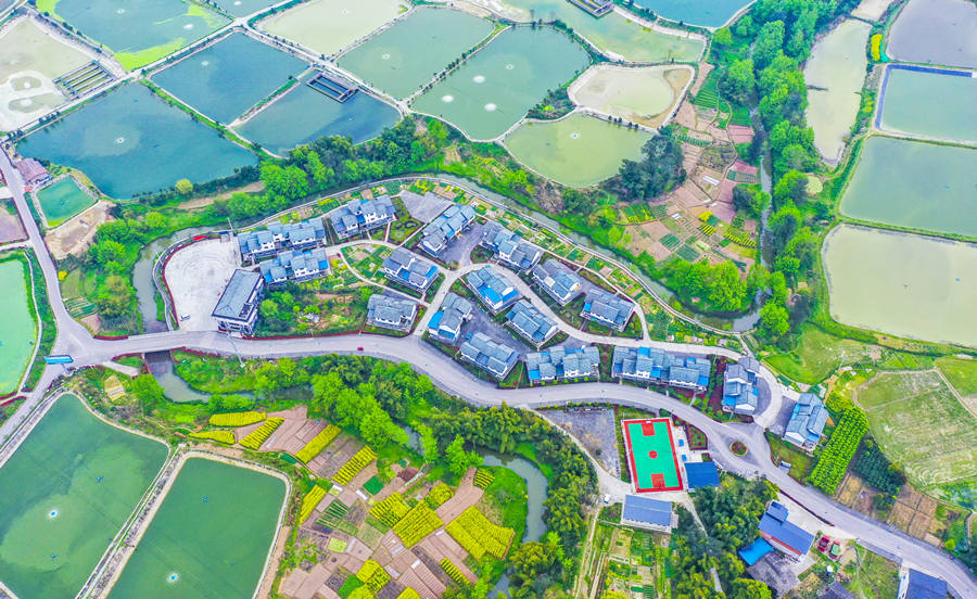 Liangping’s countryside scenes impress and refresh, fishery sector upgraded