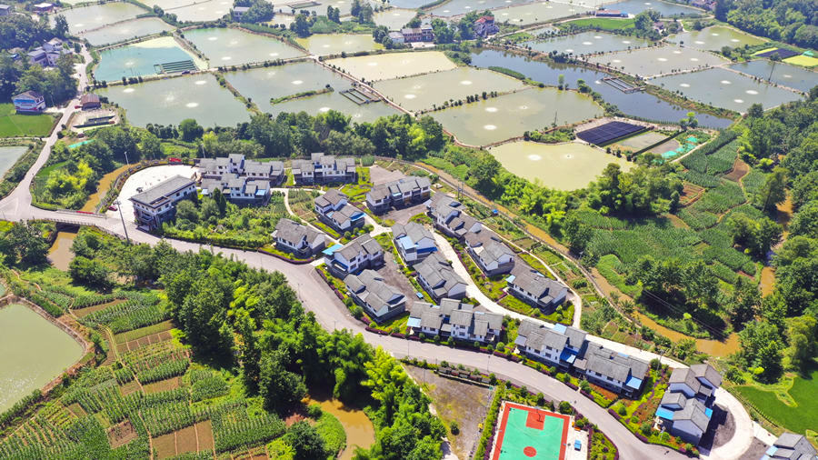 Liangping’s countryside scenes impress and refresh, fishery sector upgraded