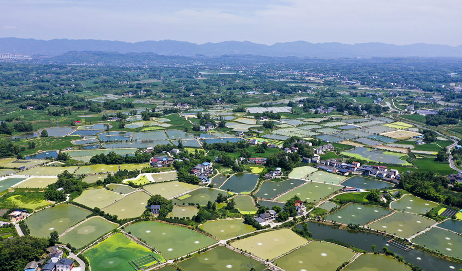 Liangping’s countryside scenes impress and refresh, fishery sector upgraded