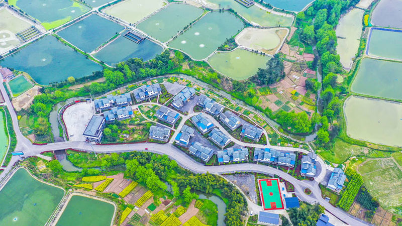Liangping’s countryside scenes impress and refresh, fishery sector upgraded