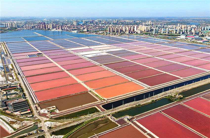 In pics: Colorful saltern in Tianjin