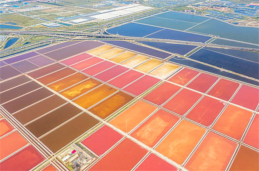 In pics: Colorful saltern in Tianjin