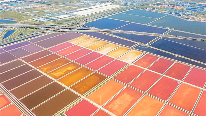 In pics: Colorful saltern in Tianjin