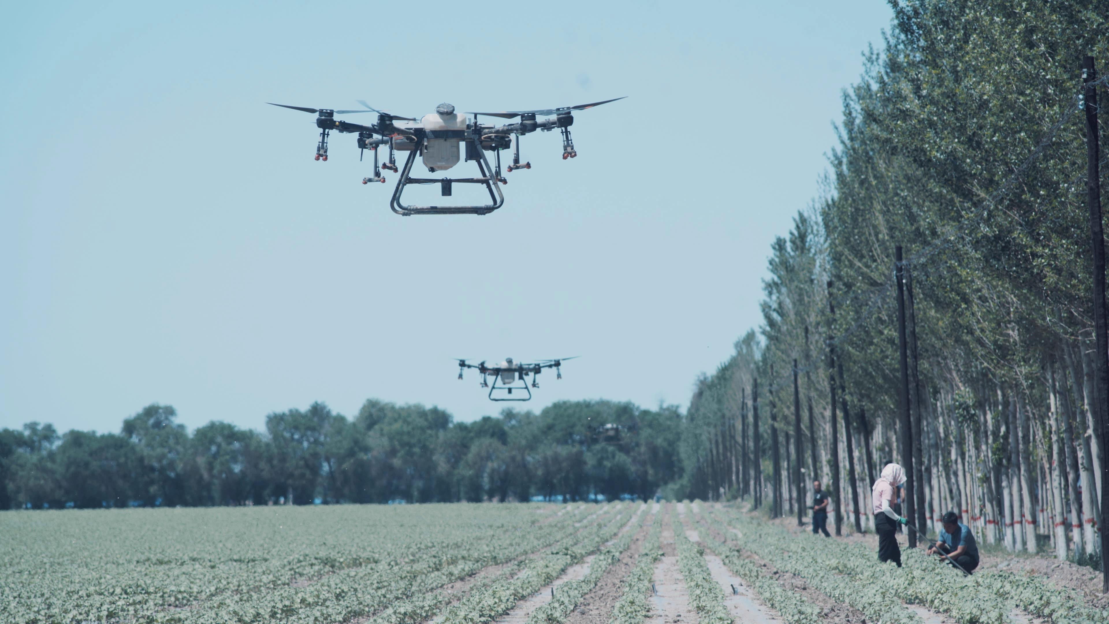 Xinjiang: Our Stories Be Told Part 3 – Harvest