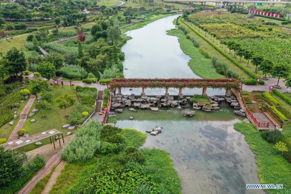 Pollution control measures turn river into wetland park in Nanning, S China