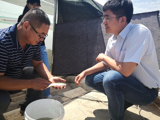 Technological innovation enables fish farmers in NW China to increase income while treating wastewater