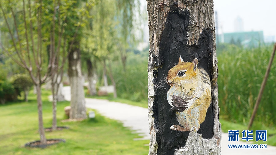 Park in Wuhan dresses tree wounds with paintings of cute animals