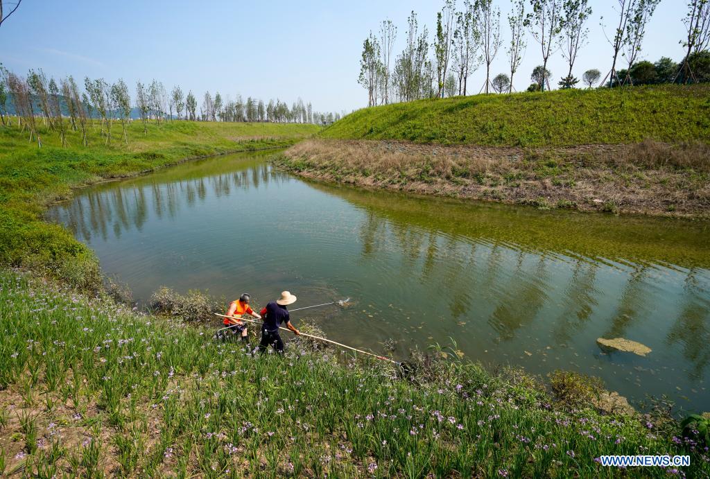 Water quality, ecosystem of Liangtan River improved in Chongqing