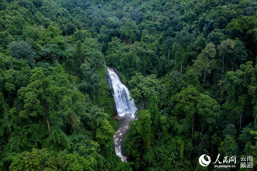 Advances in biogeography of the tropical rain forest in southern Yunnan,  southwestern China