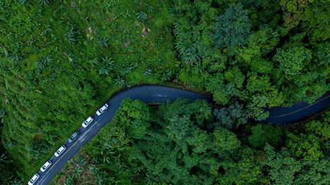 A trip to China’s northernmost tropical forest in SW Yunnan province