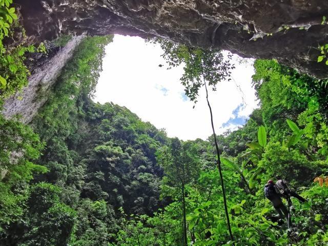 Two critically endangered species found in Yunnan after 100 years