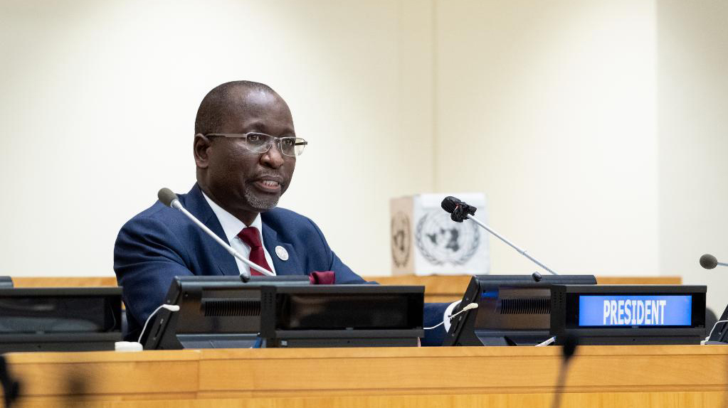 New ECOSOC president sees bigger role of his council