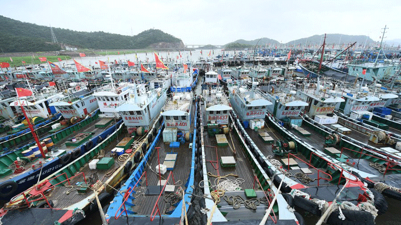 China's coastal cities brace for Typhoon In-Fa