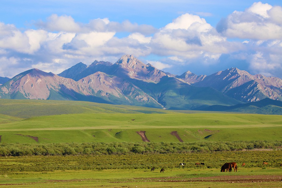Beautiful scenery of horse breeding farm in Gansu