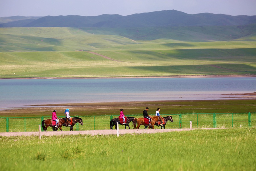 Beautiful scenery of horse breeding farm in Gansu