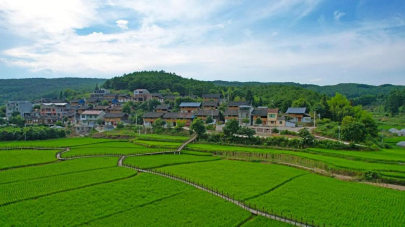 Postgraduate students help vitalize rural areas in SW China’s Guizhou province