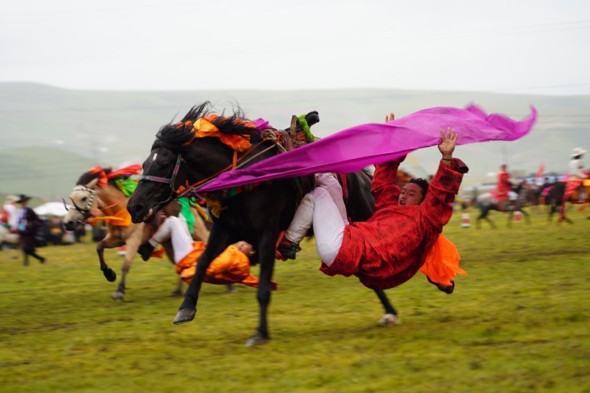 Horse racing event held in Litang, SW China's Sichuan