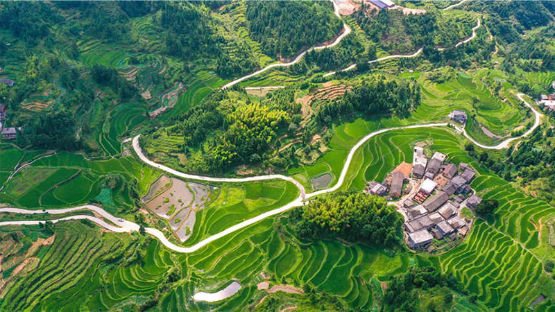 In pics: Better roads lead to better lives in Hunan