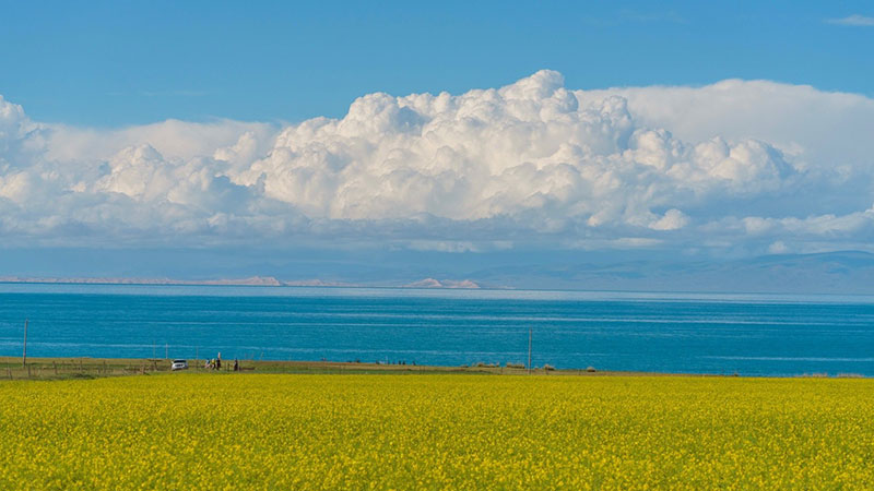 Enjoy stunning scenery along Qinghai Lake