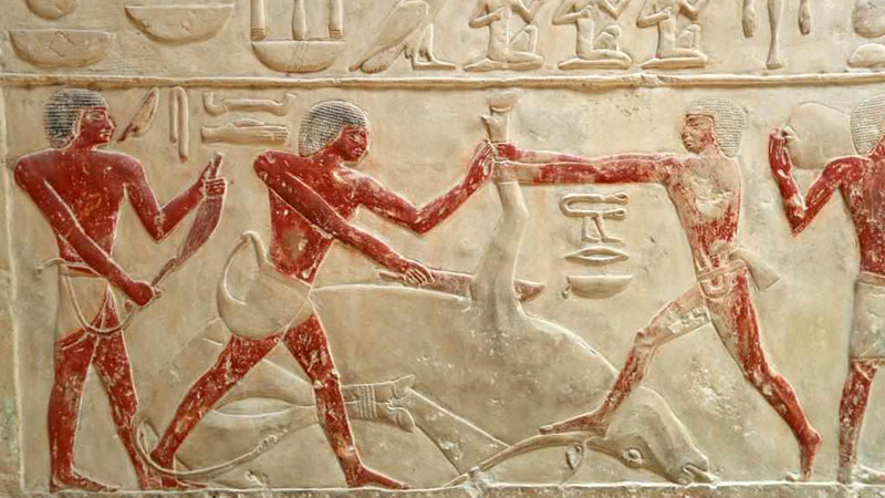 Colored relief paintings inside high official tomb in Cairo, Egypt