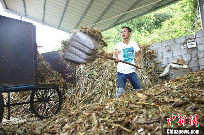 Farmer helps fellow villagers get rich through organic farming