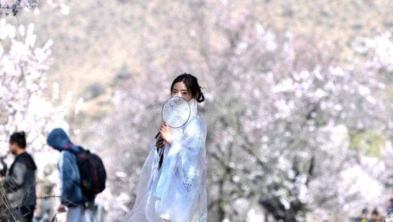 Tibetan villagers in Nyingchi become prosperous through rural tourism