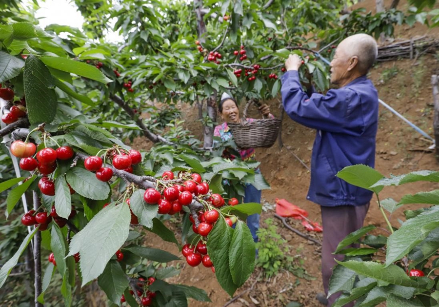 Improving roads and network help vitalize village in central China’s Hubei province