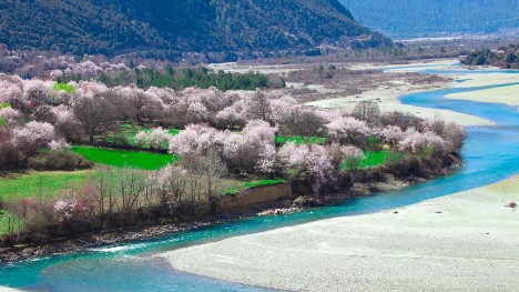 Lhasa-Nyingchi Railway brings new opportunities for rural tourism