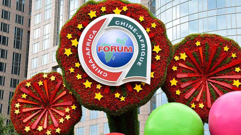 Interview: Africa expects upcoming FOCAC meeting to help realize new public health order: Africa CDC official