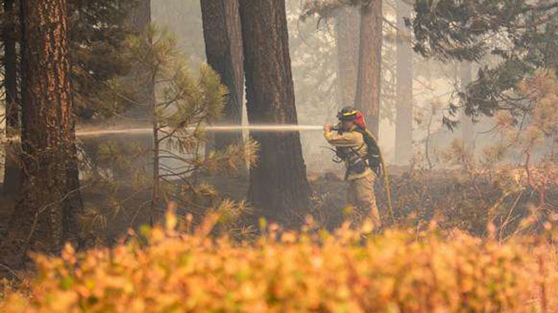 U.S. struggles to find enough firefighters as wildfires rage across West: media
