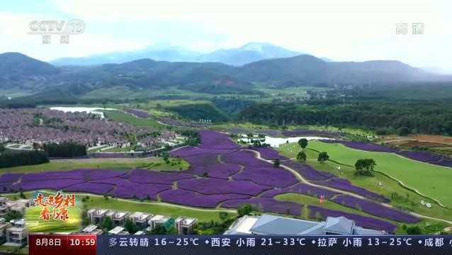 Flower tours lead residents to prosperous life in SW China’s Yunnan
