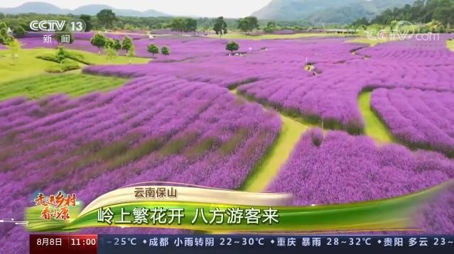 Flower tours lead residents to prosperous life in SW China’s Yunnan