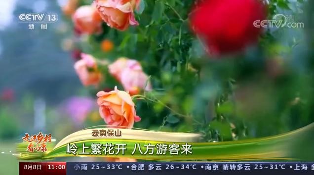 Flower tours lead residents to prosperous life in SW China’s Yunnan