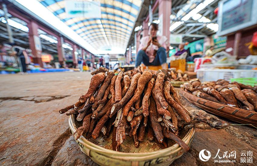 Explore the wonderful world of mushrooms in SW China's Yunnan