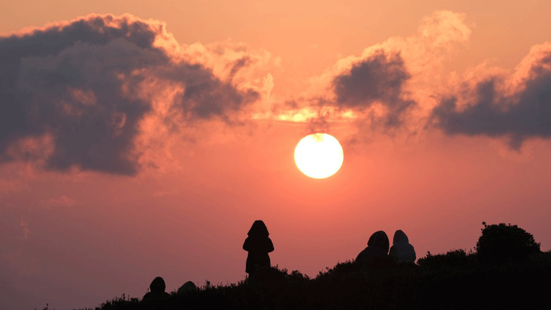 Eco-friendly shift brings prosperity to farmers