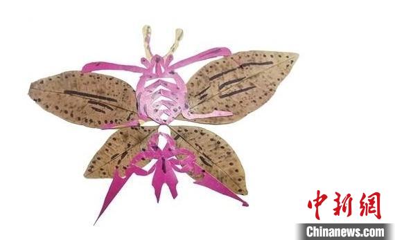 90-year-old man makes paper cutouts of 4,000-plus butterflies