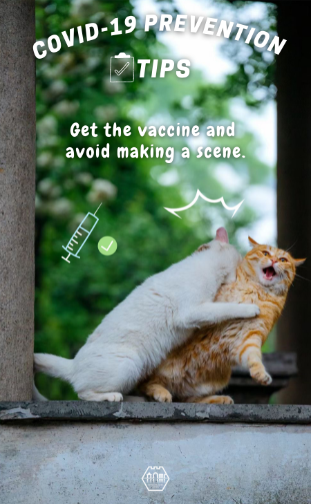 Cats Talk: COVID-19 prevention tips