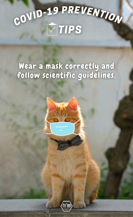Cats Talk: COVID-19 prevention tips
