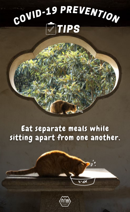Cats Talk: COVID-19 prevention tips
