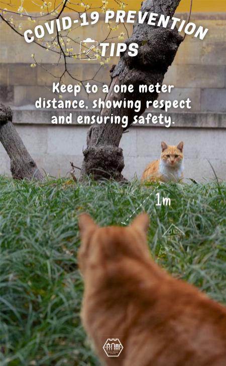 Cats Talk: COVID-19 prevention tips