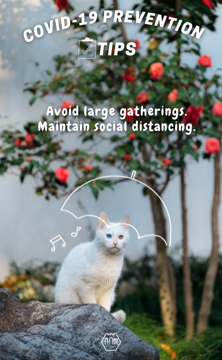 Cats Talk: COVID-19 prevention tips